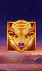 Buffalo's Sun 2